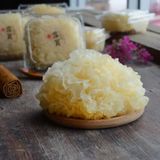  Nấm Ngân Tuyết Bông 
