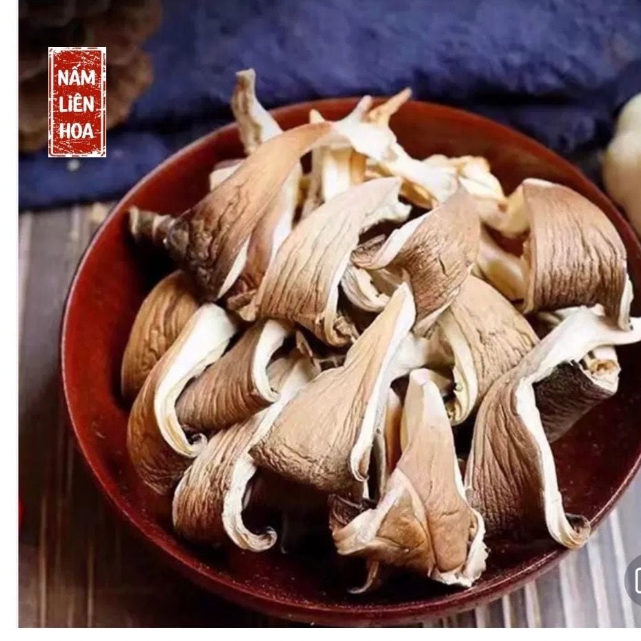  Nấm Bào Ngư 