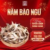 Nấm Bào Ngư 