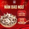  Nấm Bào Ngư 