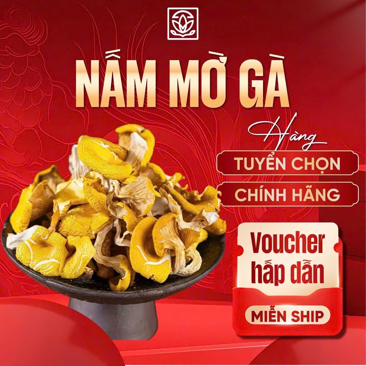  Nấm Mỡ Gà 