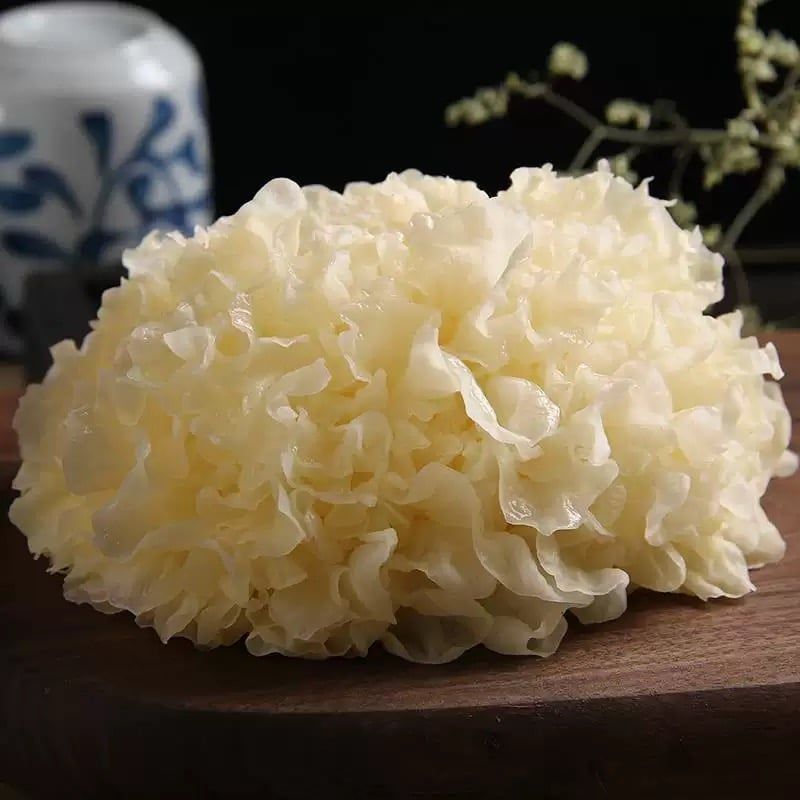  Nấm Ngân Tuyết Bông 