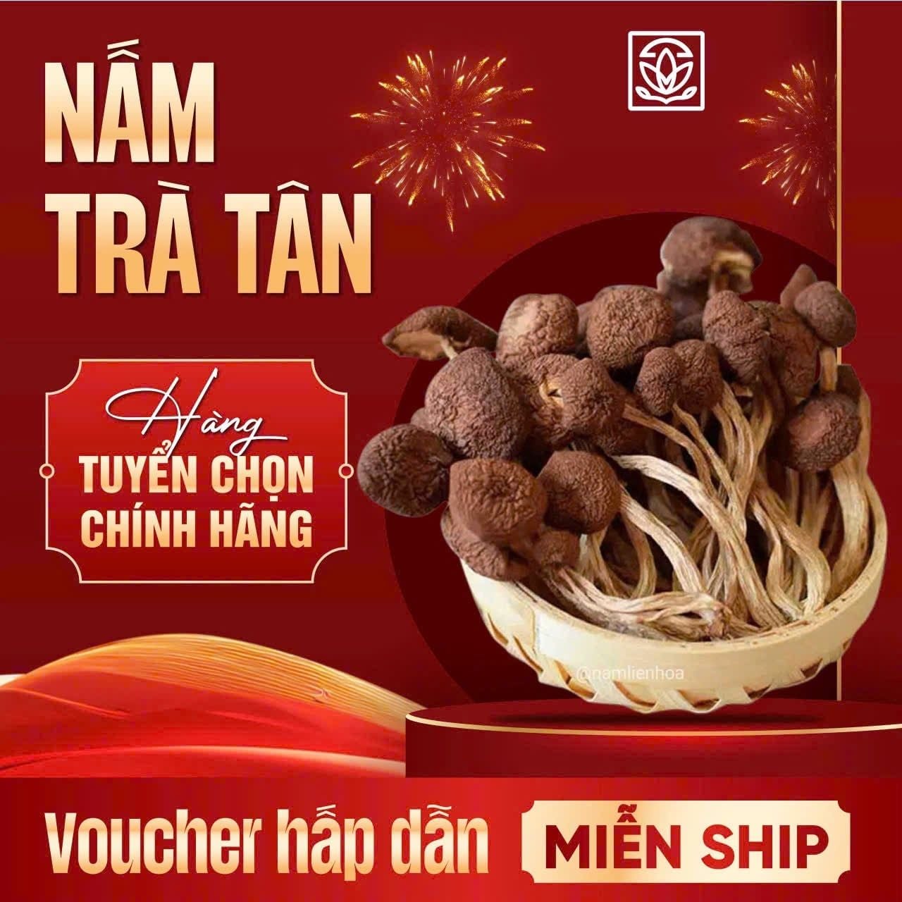  Nấm Trà Tân 