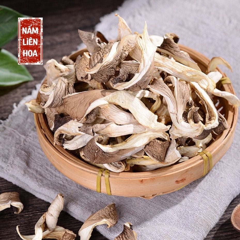  Nấm Bào Ngư 
