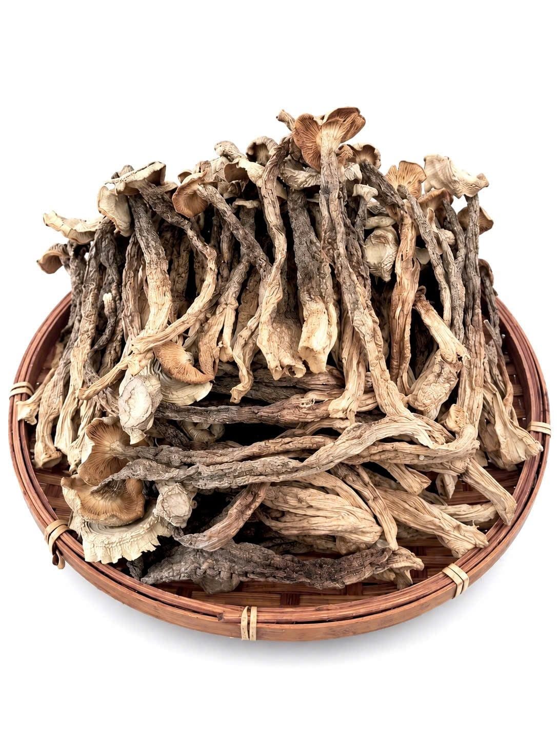  Nấm Lộc Nhung Loại 2 ( Size Trung ) 