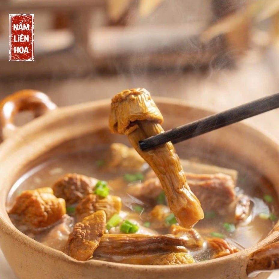  Nấm Tùng Nhung (Himatstake) 