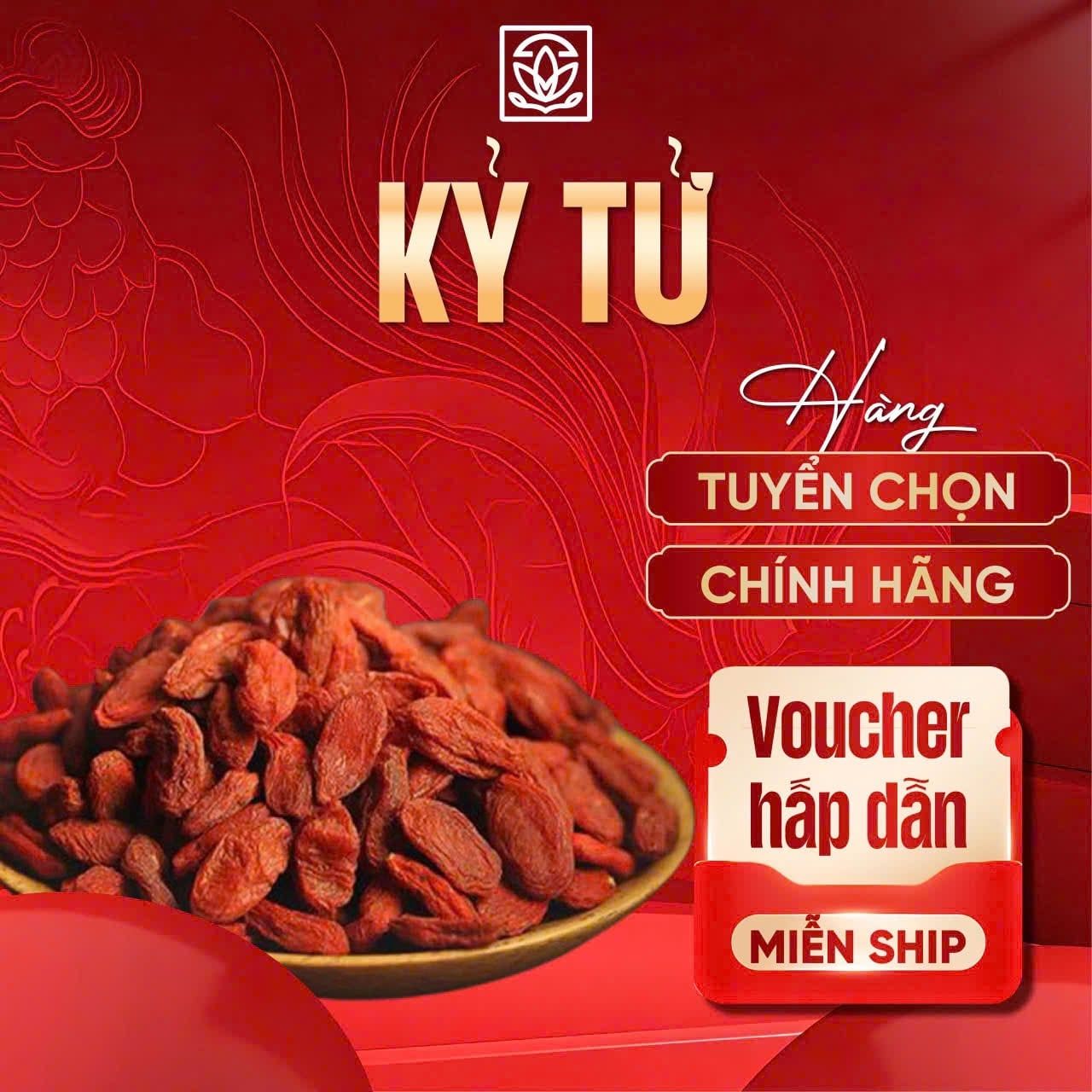  Kỷ Tử Ninh Hạ 