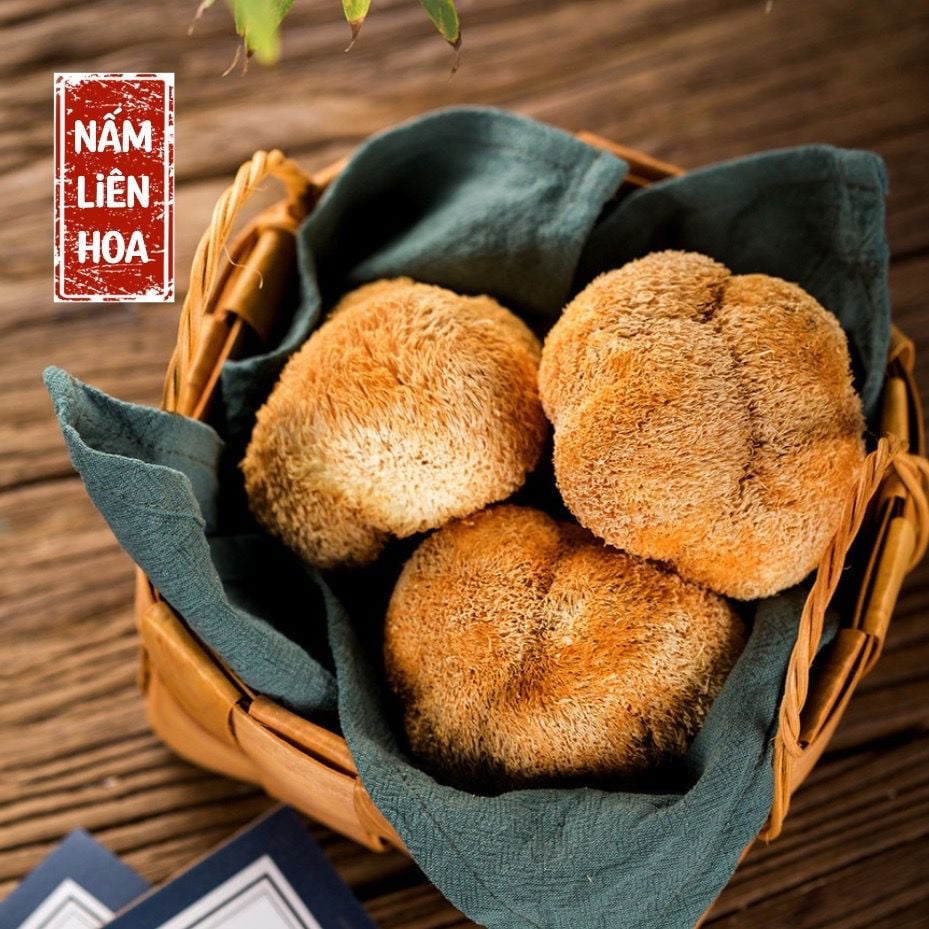 Nấm Hầu Thủ 