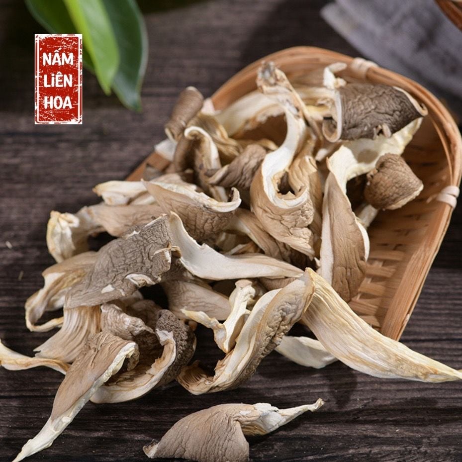  Nấm Bào Ngư 
