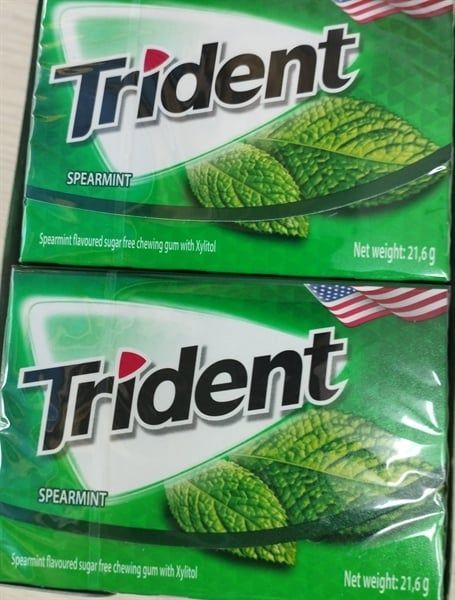 Singum TRIDENT vị spearmint (21.6g)