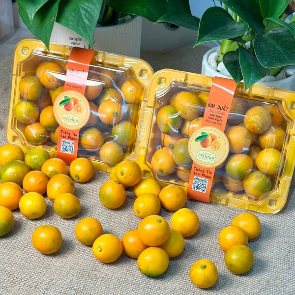 Kim Quất Đài Loan hộp