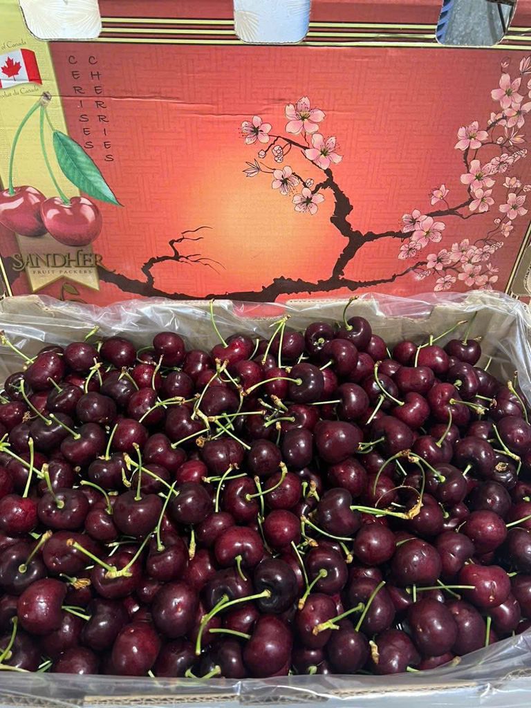 Cherry Canada Size 8.5