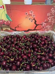 Cherry Canada Size 8.5