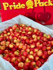 Cherry Vàng Mỹ Size 9.0