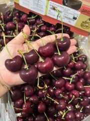 Cherry Canada Size 8.5