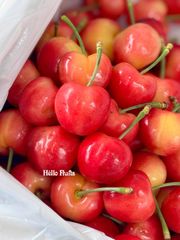 Cherry Vàng Mỹ Size 9.0