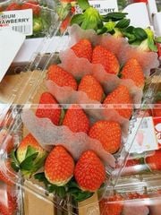 Dâu Hàn greenvil 330g