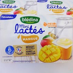 Sữa Chua Blédina Mini Lactés Vị Mangue (330g)
