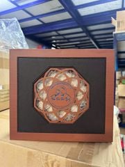 Yến sào Sơn Tùng (100g)