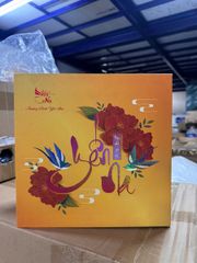 Yến sào thượng đỉnh Yến Na (100g)