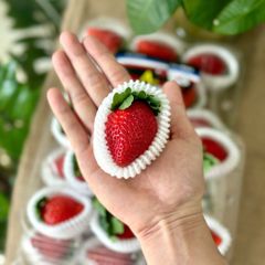 Dâu Hàn Aryhyang 300g