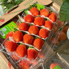 Dâu Golden Hàn 330g (hộp)