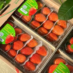 Dâu Hàn Golden 330g