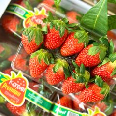 Dâu Hàn greenvil 330g