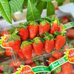 Dâu Hàn greenvil 330g