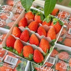 Dâu Hàn Quốc Joy Farm (330g)