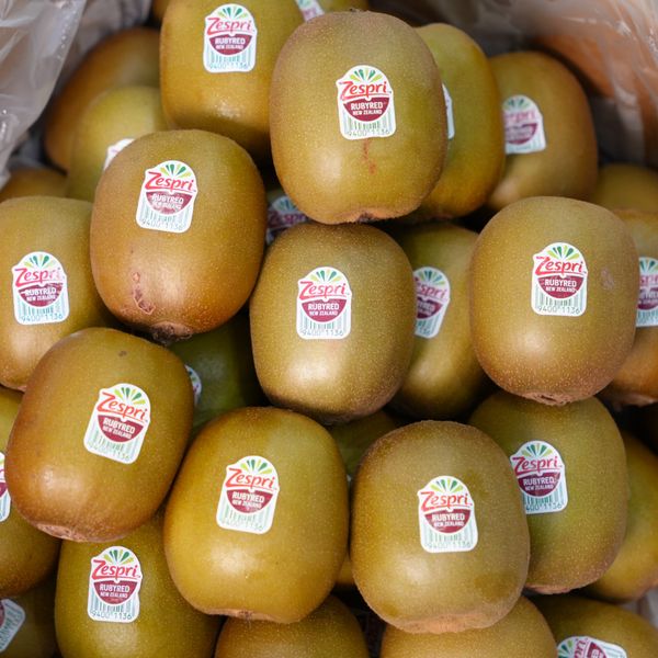 Kiwi đỏ new zealands