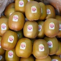 Kiwi đỏ new zealands
