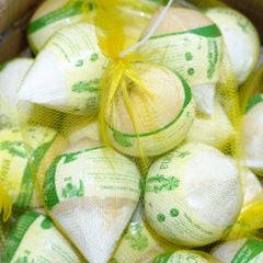 Dừa xiêm trắng túi 5 trái