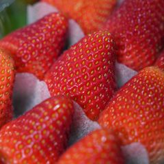 Dâu Joy Hàn 330G (hộp)