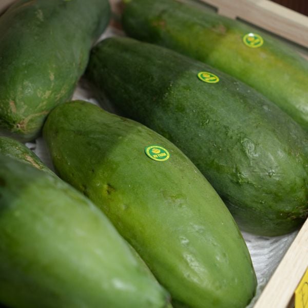 Đu đủ ruột đỏ