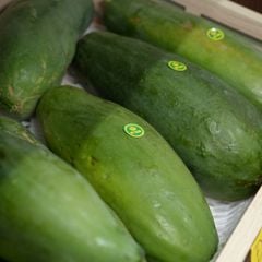 Đu đủ ruột đỏ