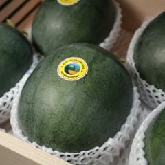 Dưa hấu Hắc Long ruột cam