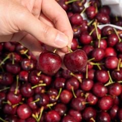 Cherry Mỹ size 10