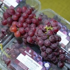 Nho kẹo Mỹ Candy