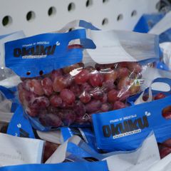 Nho đỏ Úc Cordoma/Okuku