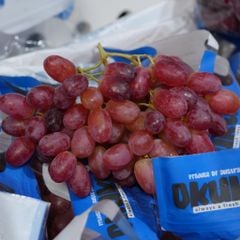 Nho đỏ Úc Cordoma/Okuku