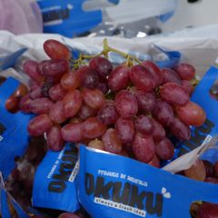 Nho đỏ Úc Cordoma/Okuku