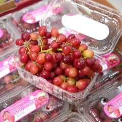 Nho đỏ kẹo hoa hồng KK