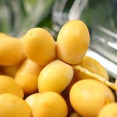 Chà Là Tươi Thái