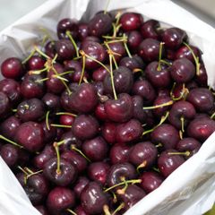 Cherry Mỹ ORCHARD size 9.0