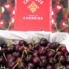 Cherry Mỹ ORCHARD size 9.0