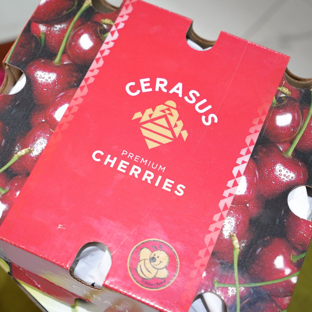 Cherry Mỹ ORCHARD size 9.0