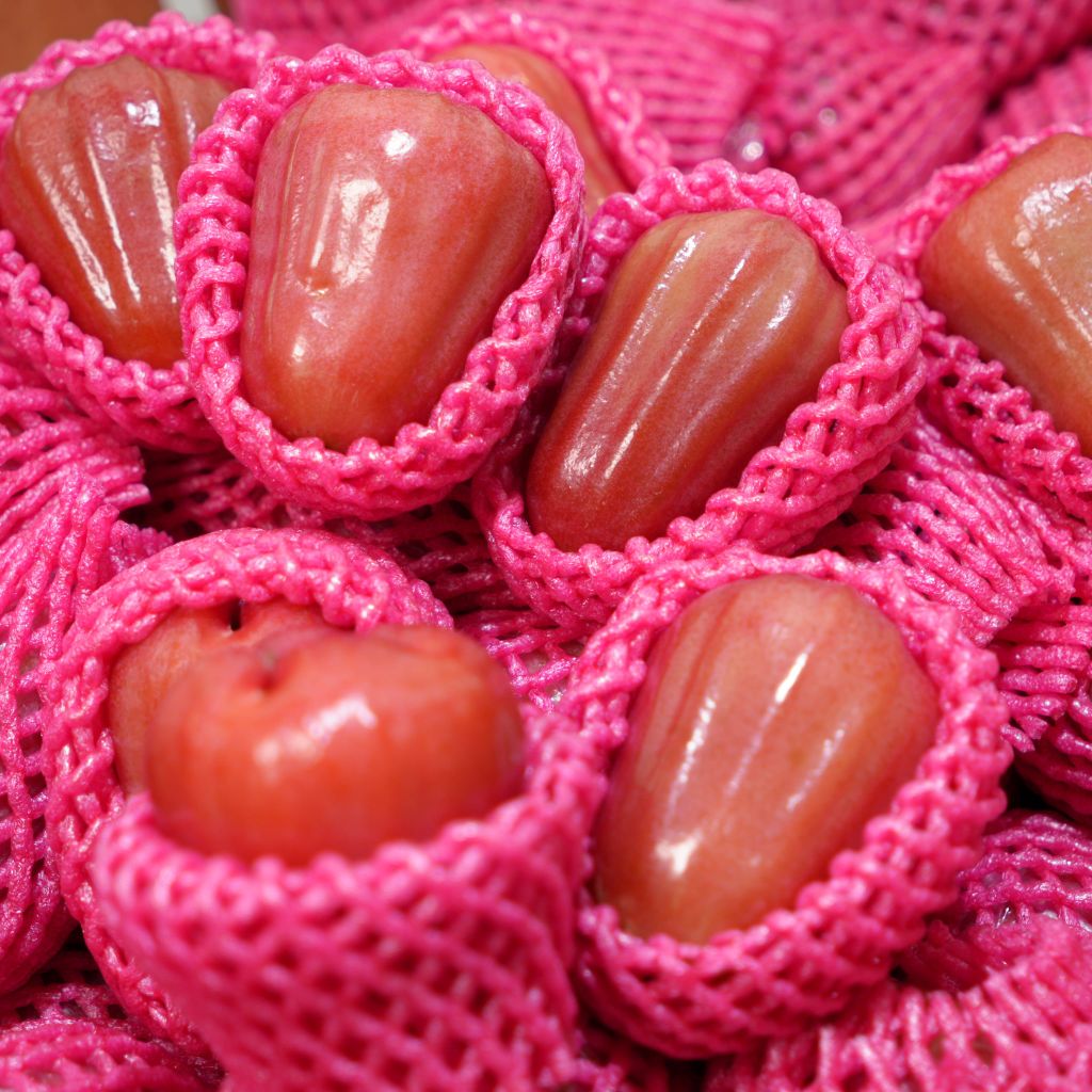 Mận An Phước