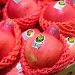 Lựu huyết rồng
