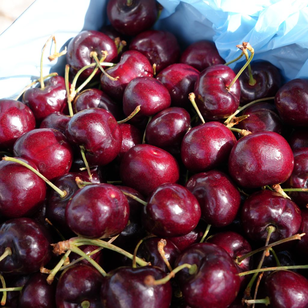 Cherry Mỹ size 8.5